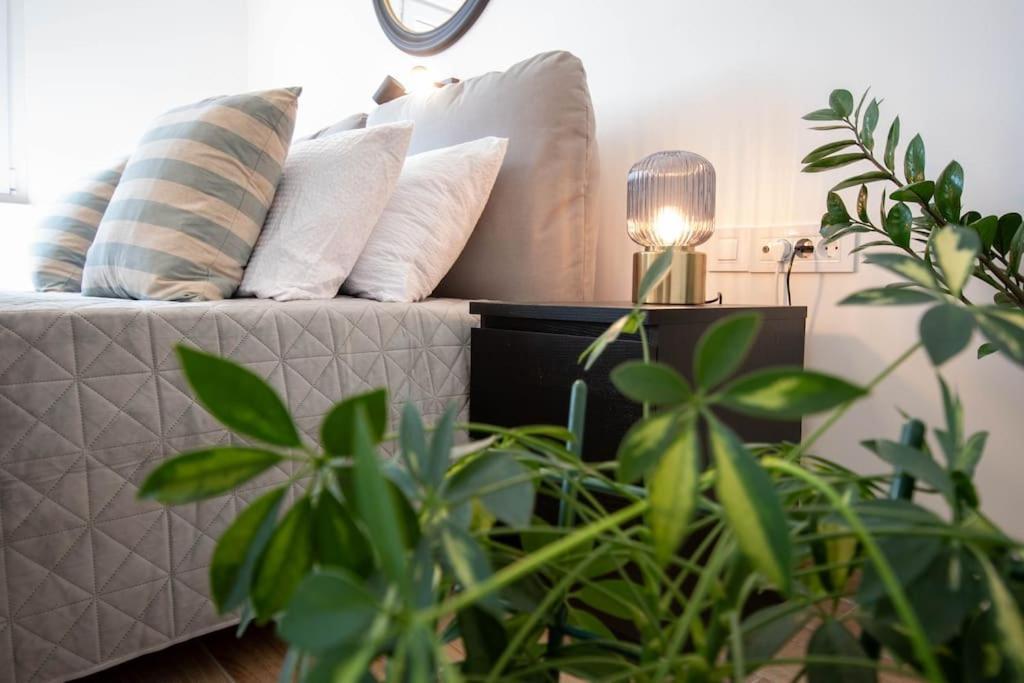 Cozy By Ivanka Design *